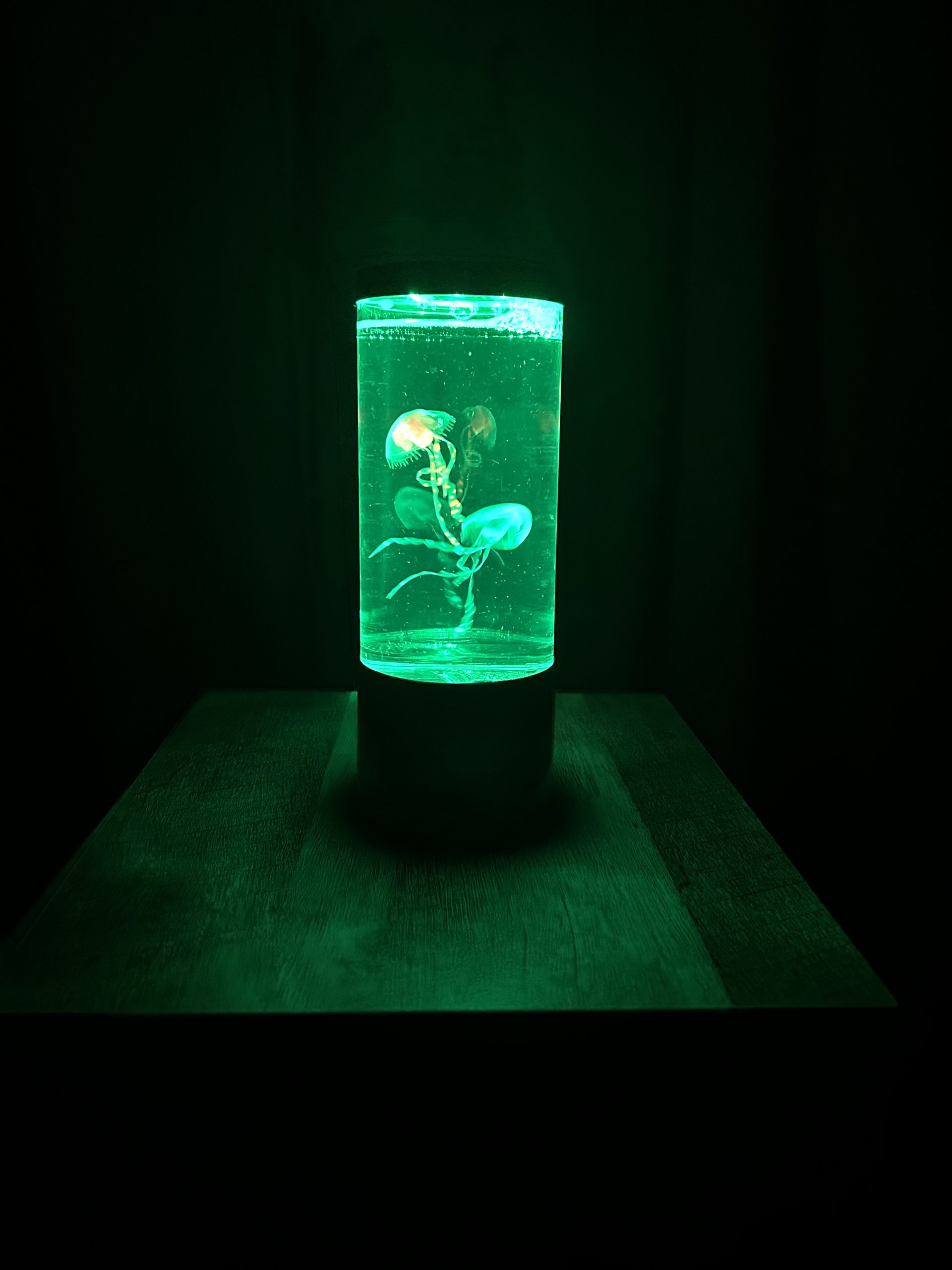 Jellyfish Lamp - Image 4