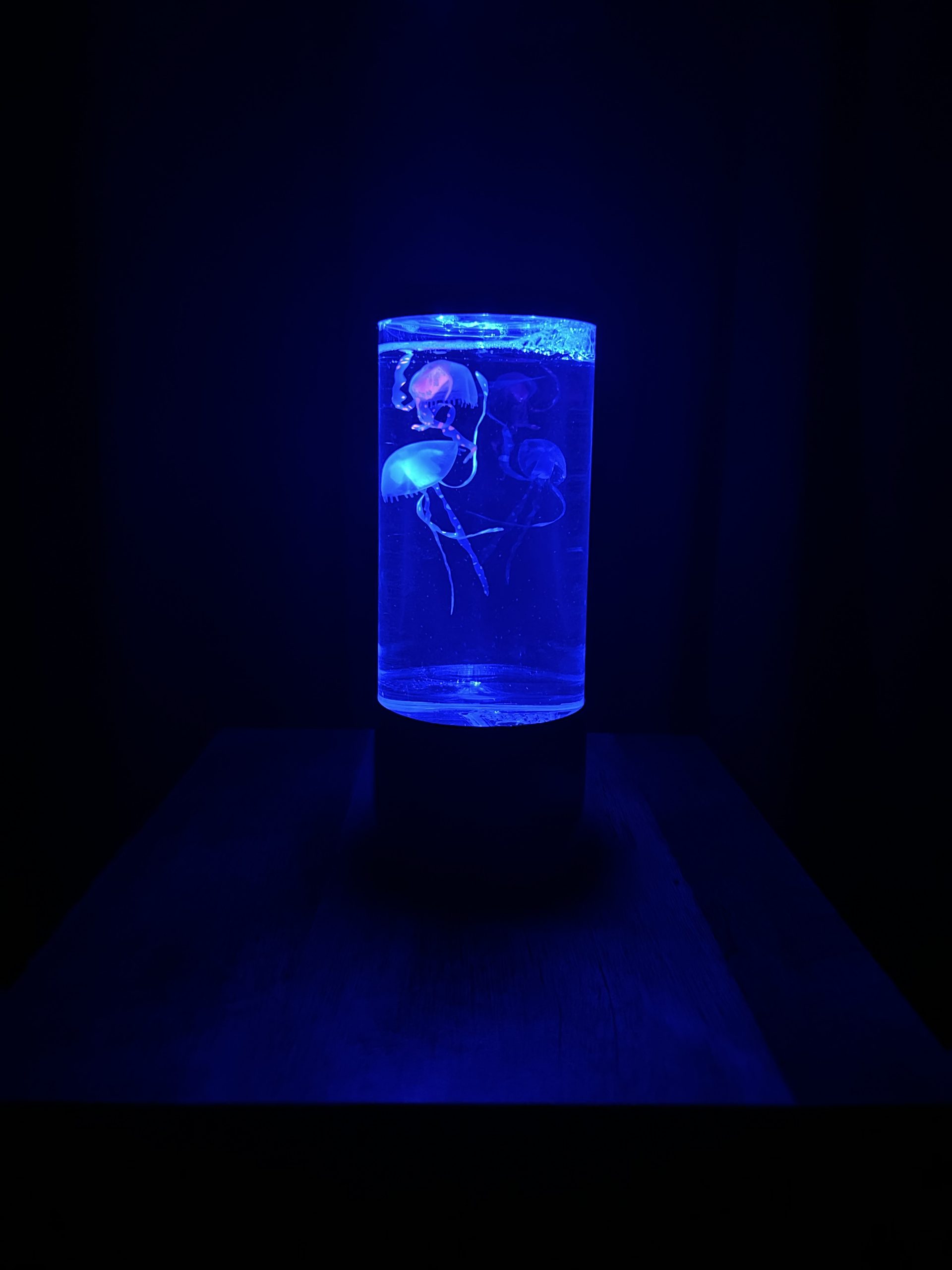 Jellyfish Lamp - Image 2
