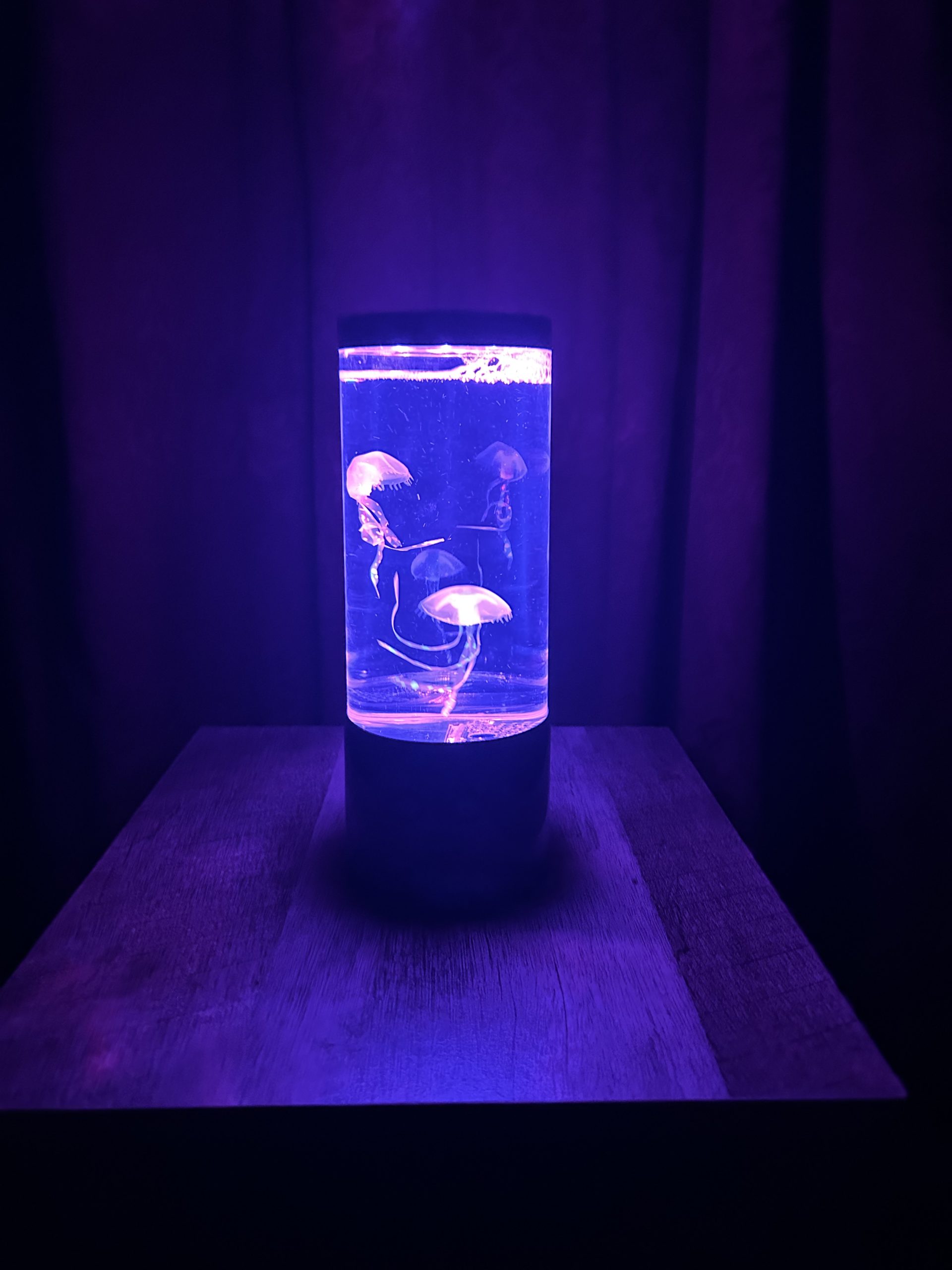 Jellyfish Lamp - Image 3